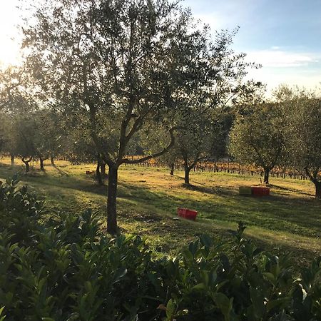 Il Villino Farmhouse Castellina in Chianti Exterior photo